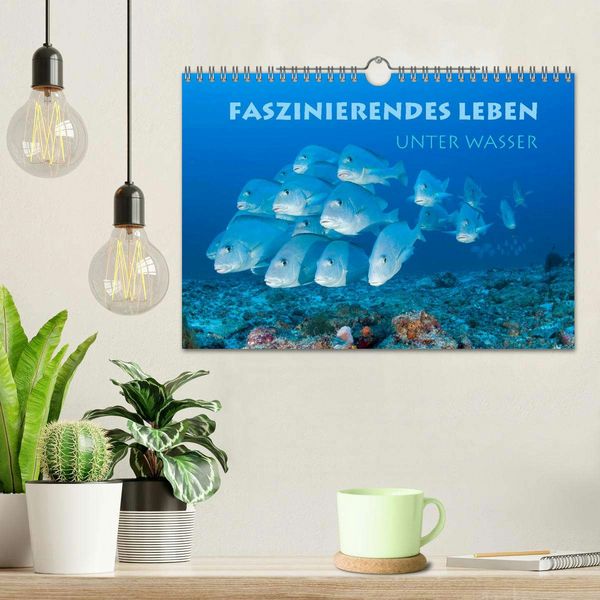Produktbild: Faszinierendes Leben unter Wasser (Wandkalender 2026 DIN A4 quer), CALVENDO Monatskalender