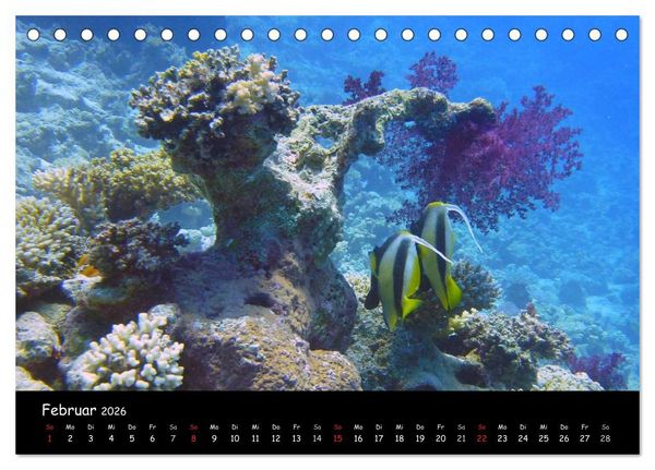 Produktbild: Rotes Meer - Unterwasserimpressionen (Tischkalender 2026 DIN A5 quer), CALVENDO Monatskalender