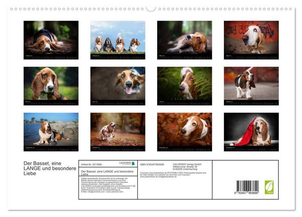 Produktbild: Der Basset, eine LANGE und besondere Liebe (hochwertiger Premium Wandkalender 2026 DIN A2 quer), Kunstdruck in Hochglanz