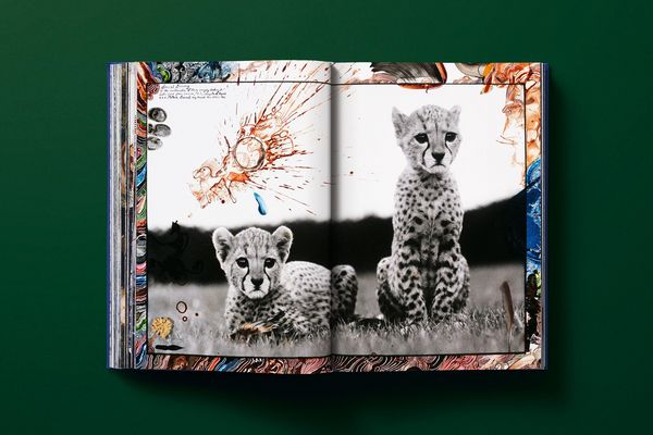 Produktbild: Peter Beard