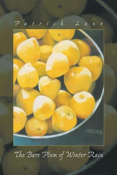 Produktbild: The Bare Plum of Winter Rain
