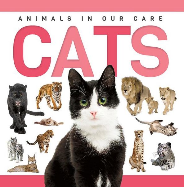 Produktbild: Cats