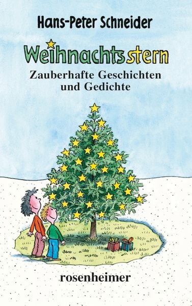 Produktbild: Weihnachtsstern