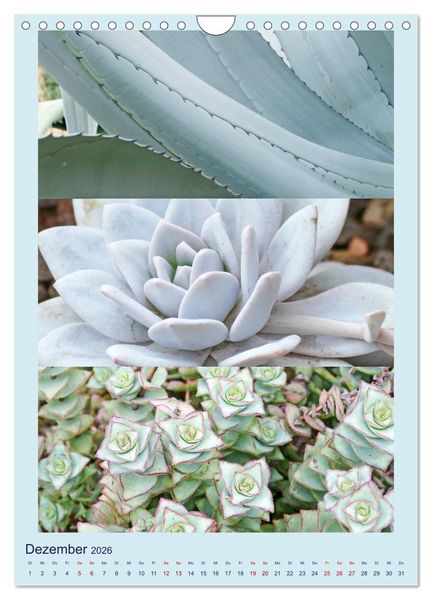 Produktbild: Mein Gartenjahr - Mit der Kamera unterwegs in G&auml;rten und Parkanlagen (Wandkalender 2026 DIN A4 hoch), CALVENDO Monatskalender
