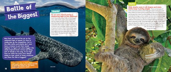 Produktbild: Sharks vs. Sloths