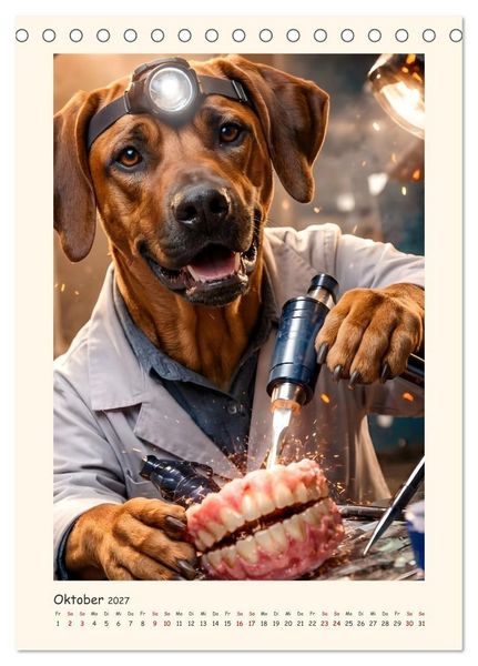 Produktbild: Rhodesian Ridgeback - Ein Hund mit vielen Talenten (Tischkalender 2027 DIN A5 hoch), CALVENDO Monatskalender