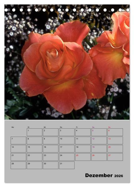 Produktbild: Rosen - Symbol der Liebe und Verehrung (Tischkalender 2026 DIN A5 hoch), CALVENDO Monatskalender
