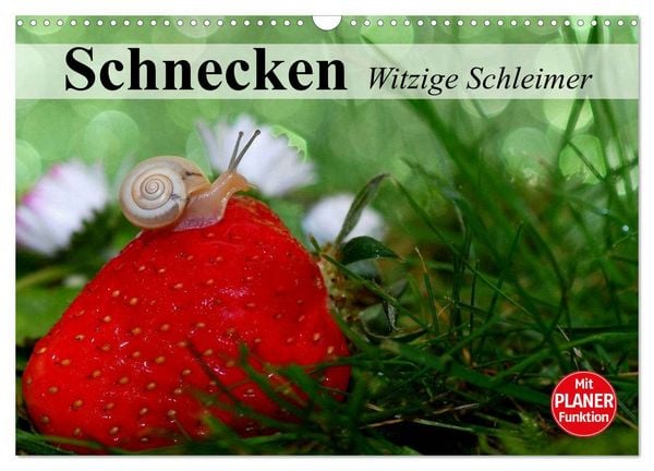 Schnecken. Witzige Schleimer (Wandkalender 2026 DIN A3 quer), CALVENDO Monatskalender