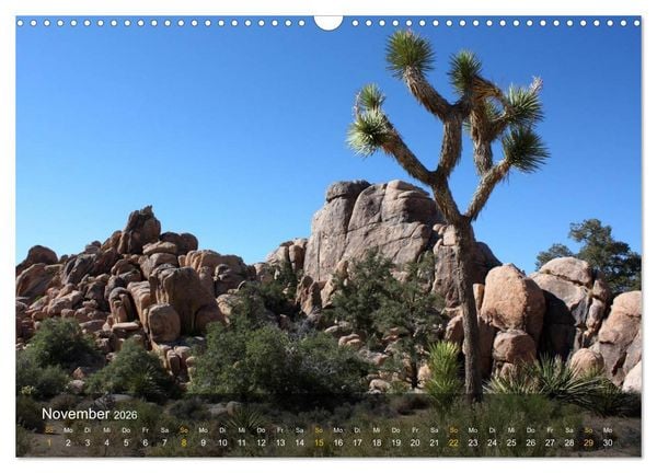 Produktbild: Der S&uuml;dwesten der USA (Wandkalender 2026 DIN A3 quer), CALVENDO Monatskalender