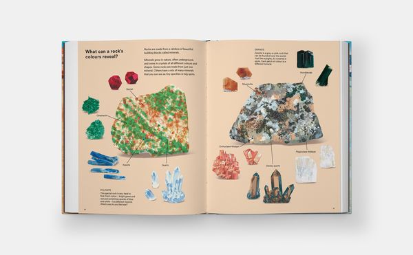 Produktbild: What a Rock Can Reveal