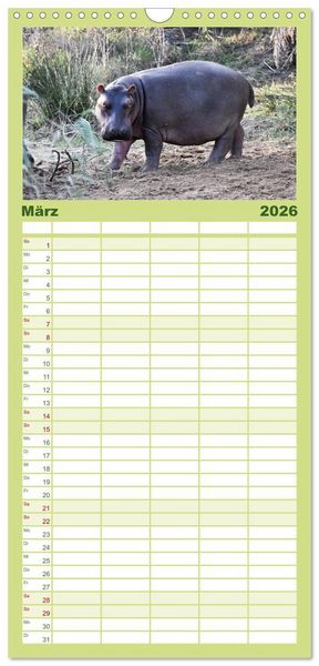 Produktbild: Familienplaner 2026 - Nilpferde, Kolosse im Wasser mit 5 Spalten (Wandkalender, 21 x 45 cm) CALVENDO