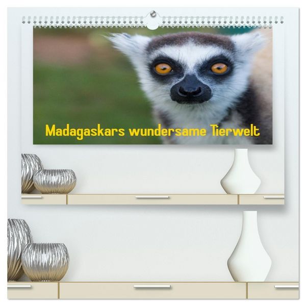 Produktbild: Madagaskars wundersame Tierwelt (hochwertiger Premium Wandkalender 2026 DIN A2 quer), Kunstdruck in Hochglanz