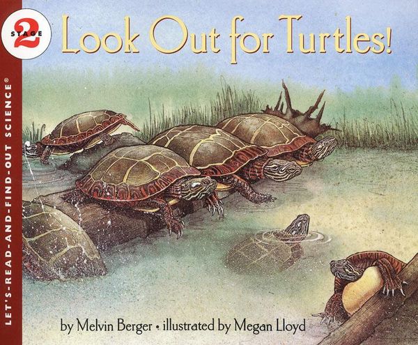 Produktbild: Look Out for Turtles!