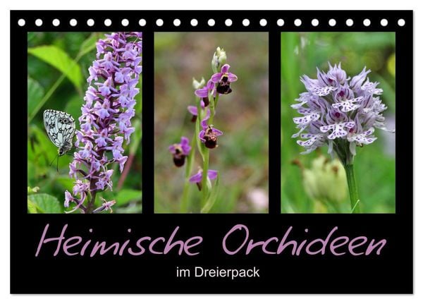 Produktbild: Heimische Orchideen im Dreierpack (Tischkalender 2026 DIN A5 quer), CALVENDO Monatskalender