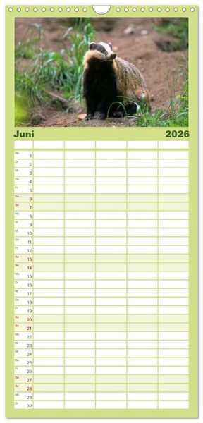 Produktbild: Familienplaner 2026 - Tiere des Waldes mit 5 Spalten (Wandkalender, 21 x 45 cm) CALVENDO