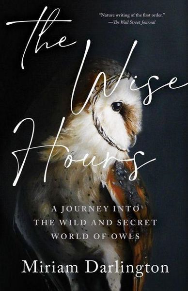 Produktbild: The Wise Hours