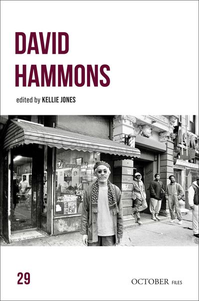Produktbild: David Hammons