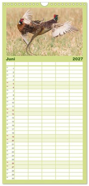 Produktbild: Familienplaner 2027 - Emotionale Momente: Wild und Jagd. mit 5 Spalten (Wandkalender, 21 x 45 cm) CALVENDO