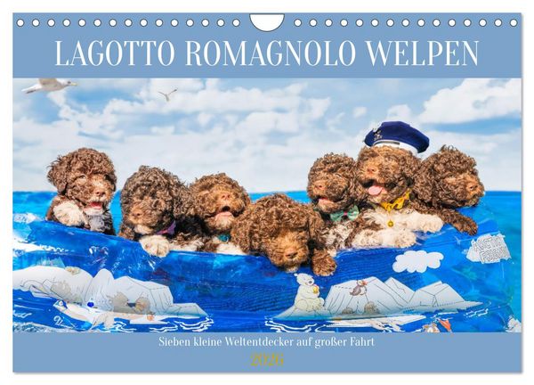 Produktbild: Lagotto Romagnolo Welpen - Sieben kleine Weltentdecker auf gro&szlig;er Fahrt (Wandkalender 2026 DIN A4 quer), CALVENDO Monatskalender