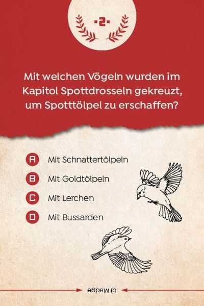 Produktbild: Kartenspiel: Das inoffizielle Quiz f&uuml;r Tribute von Panem-Fans