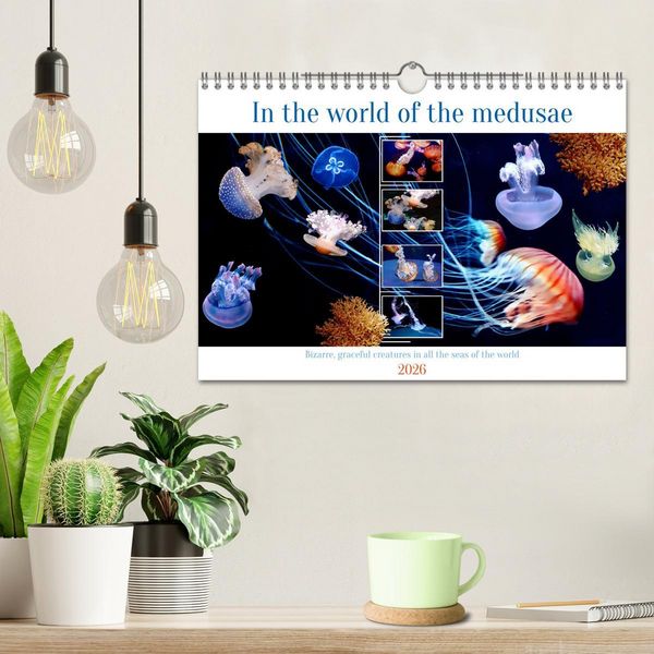 Produktbild: In the world of the medusae (Wall Calendar 2026 DIN A4 landscape), CALVENDO 12 Month Wall Calendar