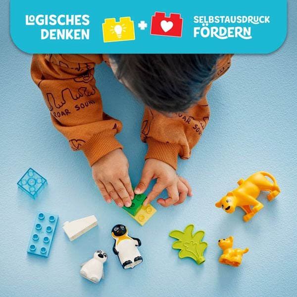 Produktbild: LEGO DUPLO 10442 Wildtier-Familien: Pinguine und L&ouml;wen, Lernspielzeug