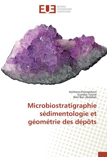 Produktbild: Microbiostratigraphie s&eacute;dimentologie et g&eacute;om&eacute;trie des d&eacute;p&ocirc;ts