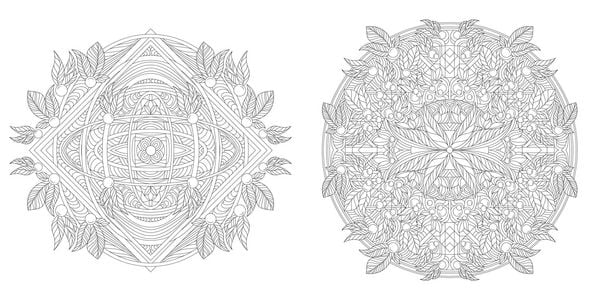 Produktbild: Floral Mandalas Colouring book