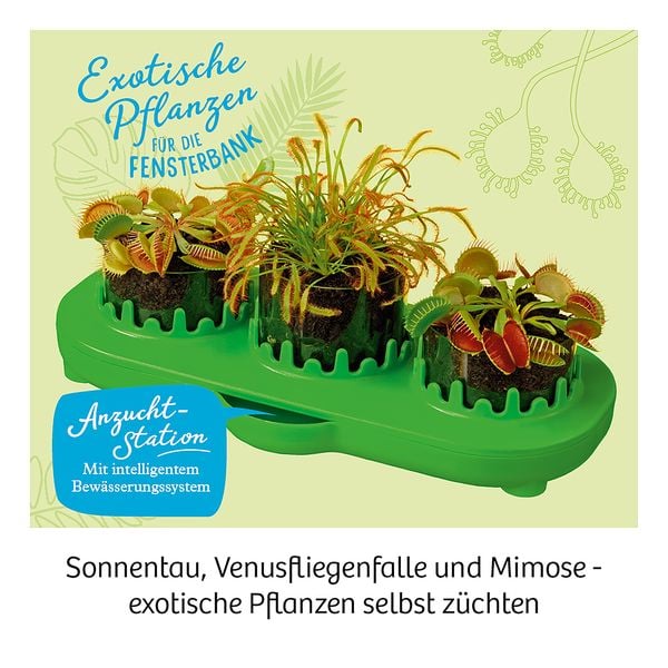 Produktbild: Fleischfressende Pflanzen
