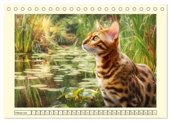 Produktbild: Bengalkatzen. Der elegante Mini-Leopard im Garten (Tischkalender 2026 DIN A5 quer), CALVENDO Monatskalender