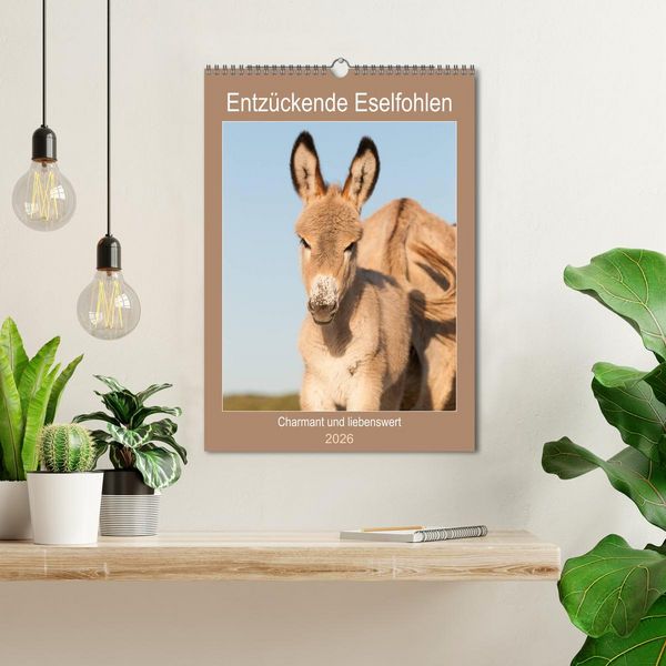 Produktbild: Entz&uuml;ckende Esel - Charmant und liebenswert (Wandkalender 2026 DIN A3 hoch), CALVENDO Monatskalender