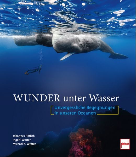 Produktbild: Wunder unter Wasser