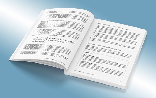 Produktbild: Der 5-Schritte-Plan zur individuellen Karrieregestaltung