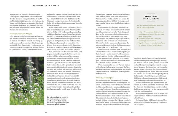 Produktbild: Meine Kr&auml;uter des Waldes