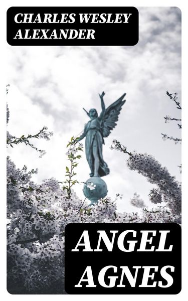 Produktbild: Angel Agnes