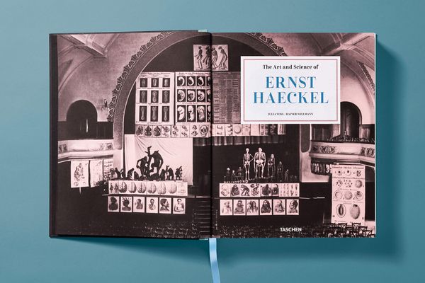 Produktbild: The Art and Science of Ernst Haeckel
