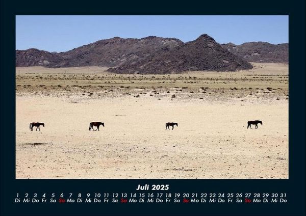 Produktbild: Die Welt der Pferde 2025 Fotokalender DIN A4