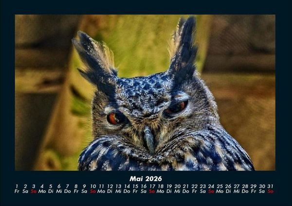 Produktbild: Vogelparadies 2026 Fotokalender DIN A4