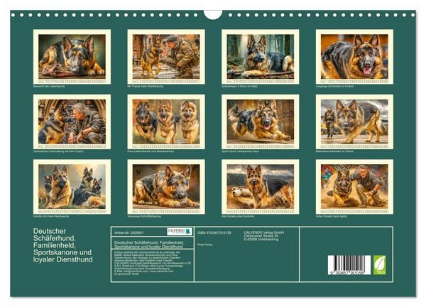 Produktbild: Deutscher Sch&auml;ferhund. Familienheld, Sportskanone und loyaler Diensthund (Wandkalender 2026 DIN A3 quer), CALVENDO Monatskalender