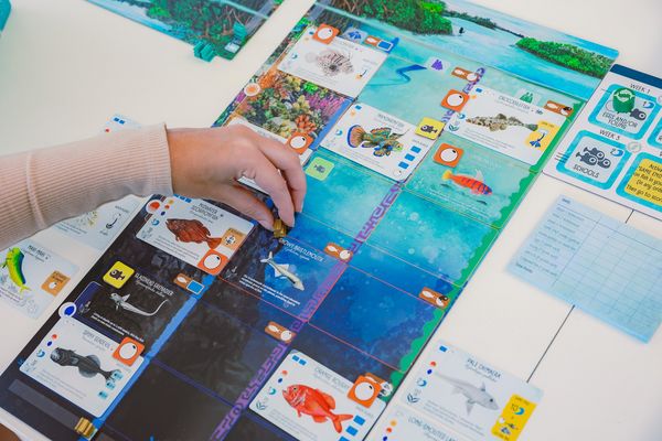 Produktbild: Stonemaier Games - Finspan, englische Version