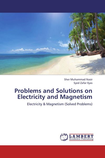 Produktbild: Problems and Solutions on Electricity and Magnetism
