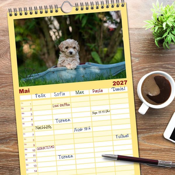 Produktbild: Familienplaner 2027 - Maltipoo Welpen mit 5 Spalten (Wandkalender, 21 x 45 cm) CALVENDO