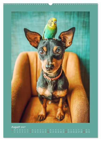 Produktbild: Mini-Pinscher. Kleine Hunde in sch&ouml;nen Momenten (hochwertiger Premium Wandkalender 2027 DIN A2 hoch), Kunstdruck in Hochglanz