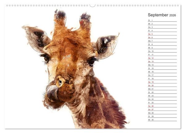 Produktbild: Tierportraits - Fine Art (hochwertiger Premium Wandkalender 2026 DIN A2 quer), Kunstdruck in Hochglanz