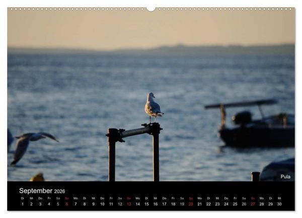 Produktbild: ISTRIEN - Die Perle Kroatiens (Wandkalender 2026 DIN A2 quer), CALVENDO Monatskalender