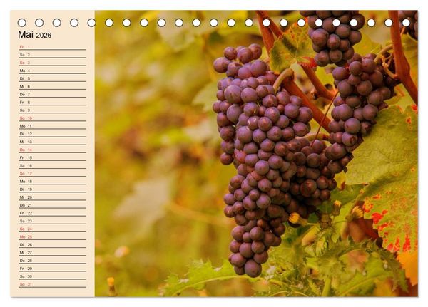 Produktbild: Weinanbau. Von der Traube zum Wein (Tischkalender 2026 DIN A5 quer), CALVENDO Monatskalender