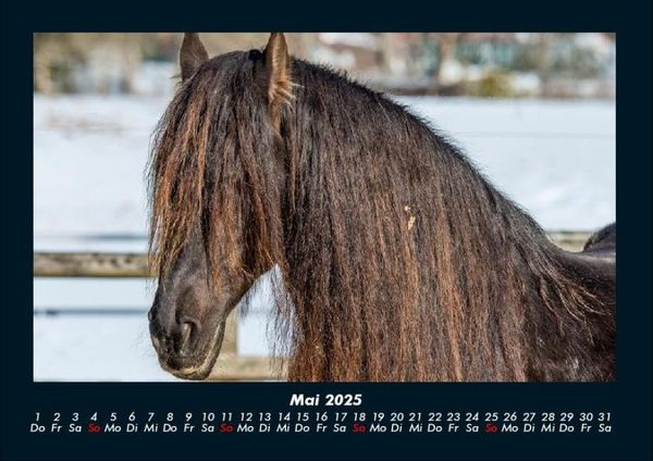 Produktbild: Die Welt der Pferde 2025 Fotokalender DIN A4