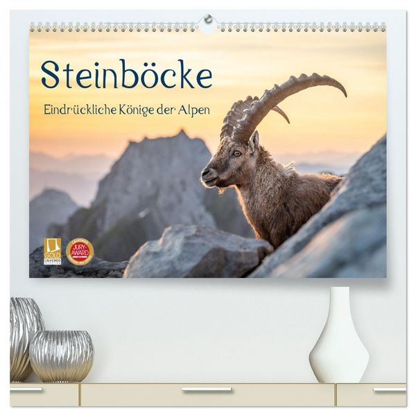 Produktbild: Steinb&ouml;cke - Eindr&uuml;ckliche K&ouml;nige der Alpen (hochwertiger Premium Wandkalender 2027 DIN A2 quer), Kunstdruck in Hochglanz