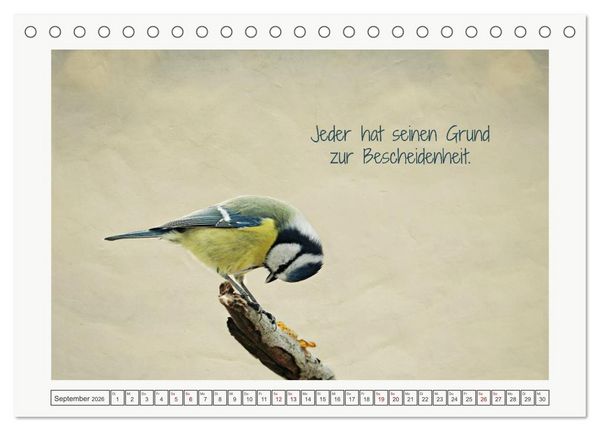 Produktbild: Irische Segensw&uuml;nsche (Tischkalender 2026 DIN A5 quer), CALVENDO Monatskalender