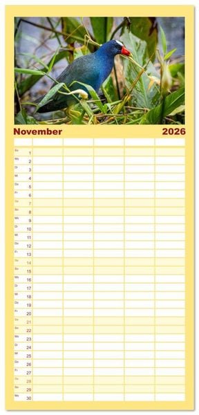 Produktbild: Familienplaner 2026 - Phantastische Vogelwelt Costa Rica mit 5 Spalten (Wandkalender, 21 x 45 cm) CALVENDO